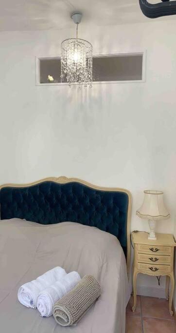 Magnifique Appartement Plein Coeur Avignon Intra-Muros Buitenkant foto